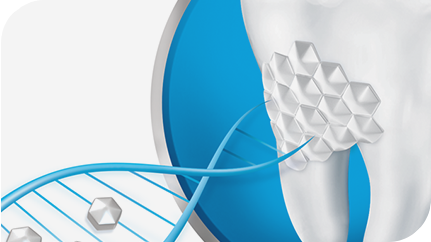 Sensodyne Repair and Protect Sensodyne Repair and Protect